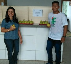 Alimentação Saudável Alimentação Saudável