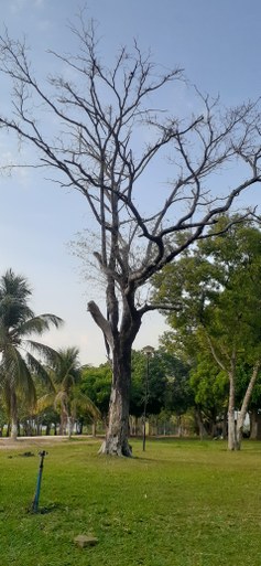Natureza Viva!