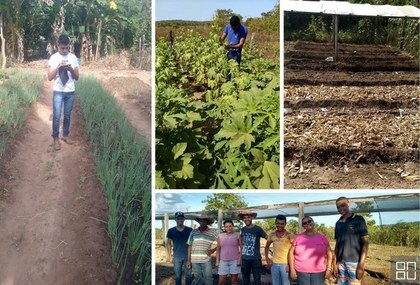 Agricultura orgânica