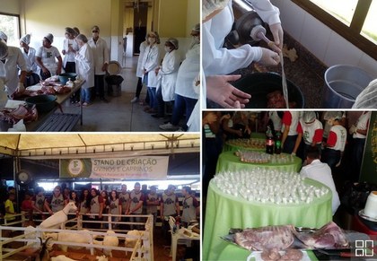 Difusão e incentivo ao desenvolvimento da caprinocultura