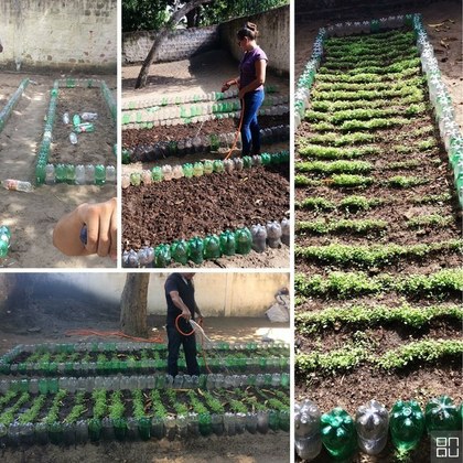 Projeto horta na escola