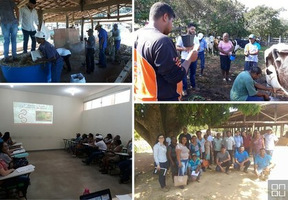 Assistência tecnica na criação de galinhas e bovino de leite