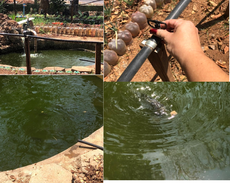projeto-neagu.png