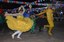 foto-arraia.jpg